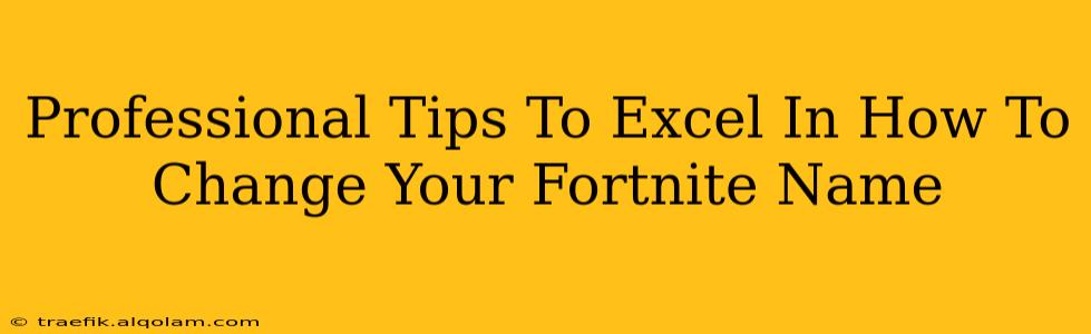 Professional Tips To Excel In How To Change Your Fortnite Name