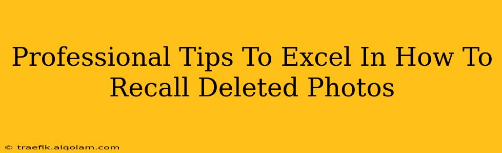 Professional Tips To Excel In How To Recall Deleted Photos