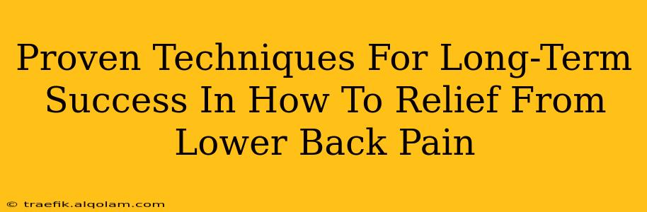 Proven Techniques For Long-Term Success In How To Relief From Lower Back Pain