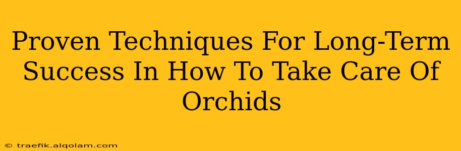 Proven Techniques For Long-Term Success In How To Take Care Of Orchids