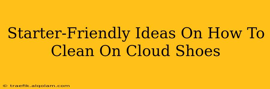 Starter-Friendly Ideas On How To Clean On Cloud Shoes