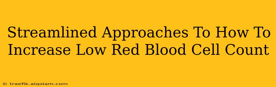 Streamlined Approaches To How To Increase Low Red Blood Cell Count