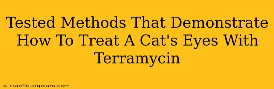 Tested Methods That Demonstrate How To Treat A Cat's Eyes With Terramycin