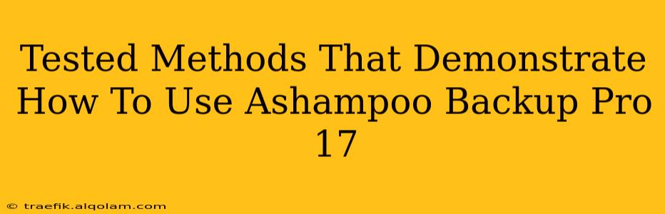 Tested Methods That Demonstrate How To Use Ashampoo Backup Pro 17