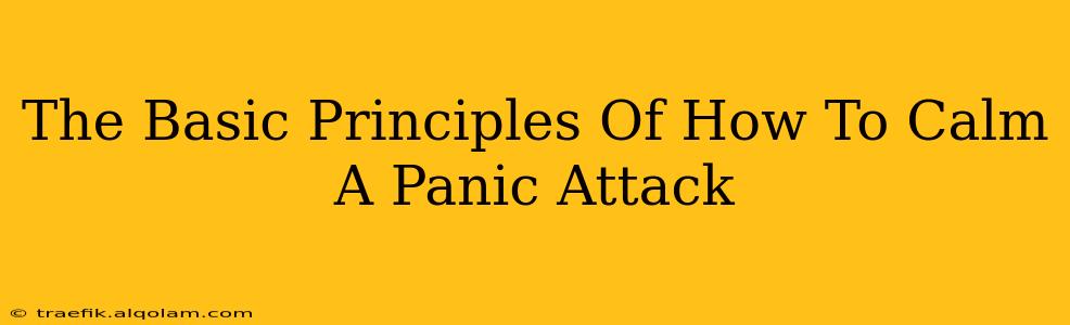 The Basic Principles Of How To Calm A Panic Attack