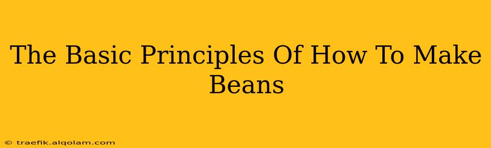 The Basic Principles Of How To Make Beans