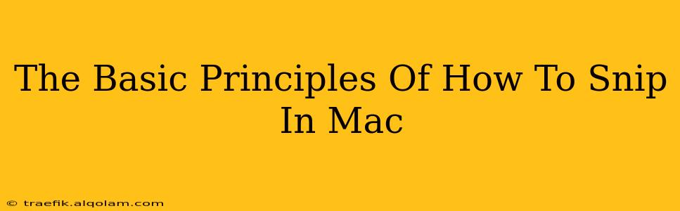 The Basic Principles Of How To Snip In Mac