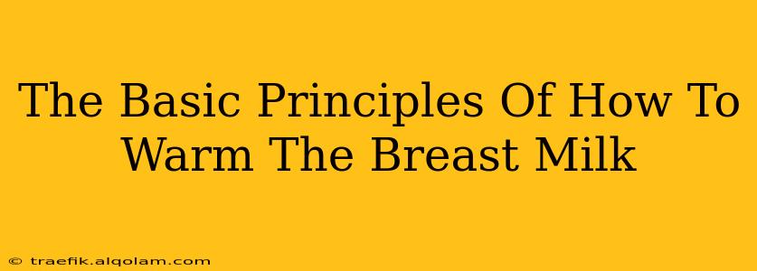 The Basic Principles Of How To Warm The Breast Milk