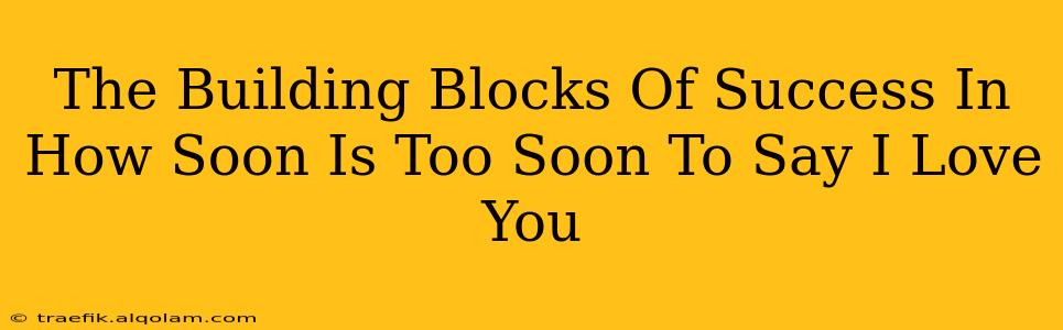 The Building Blocks Of Success In How Soon Is Too Soon To Say I Love You