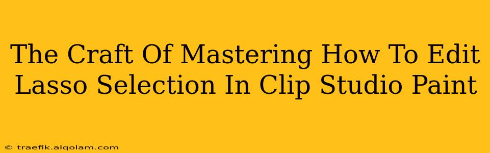 The Craft Of Mastering How To Edit Lasso Selection In Clip Studio Paint