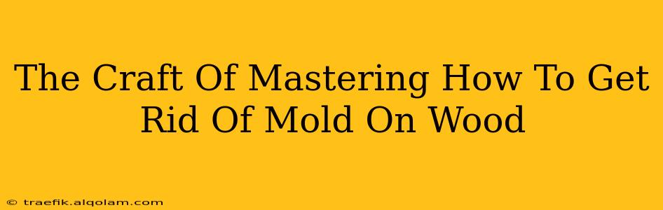 The Craft Of Mastering How To Get Rid Of Mold On Wood