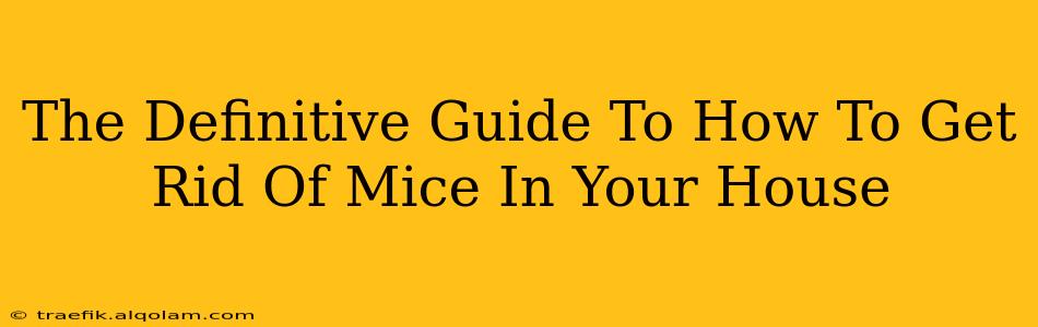 The Definitive Guide To How To Get Rid Of Mice In Your House