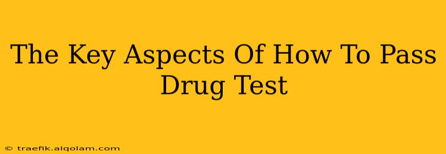 The Key Aspects Of How To Pass Drug Test