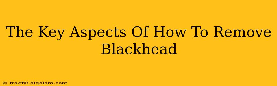 The Key Aspects Of How To Remove Blackhead