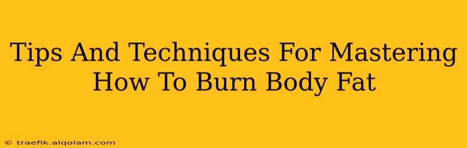 Tips And Techniques For Mastering How To Burn Body Fat