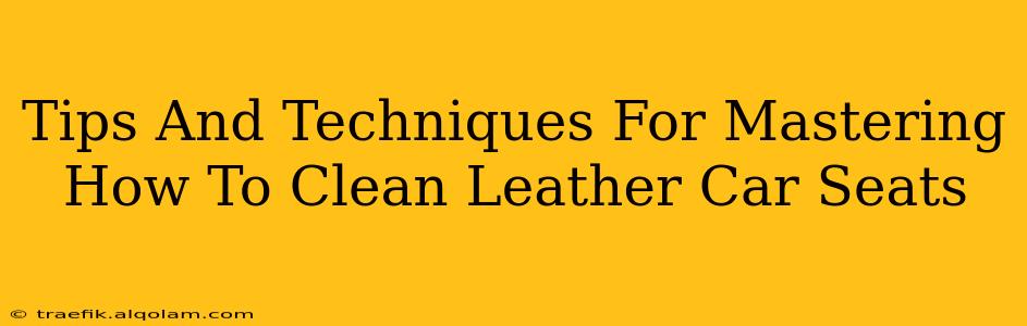 Tips And Techniques For Mastering How To Clean Leather Car Seats