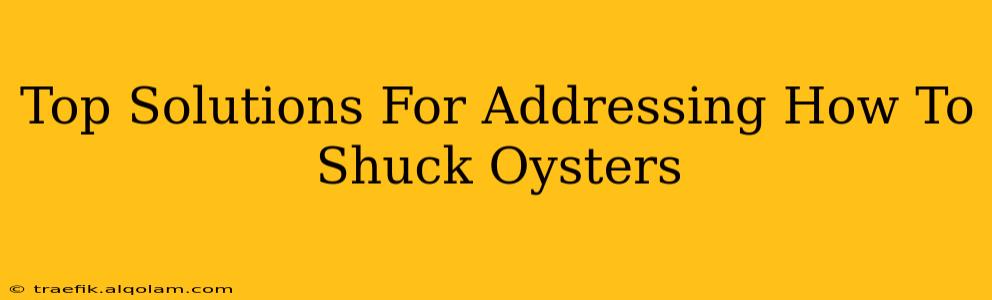 Top Solutions For Addressing How To Shuck Oysters