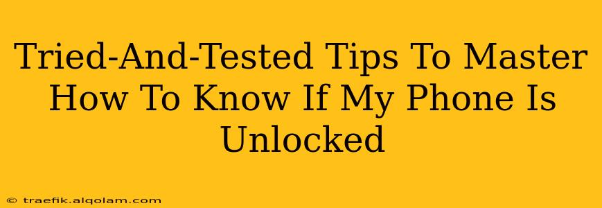 Tried-And-Tested Tips To Master How To Know If My Phone Is Unlocked