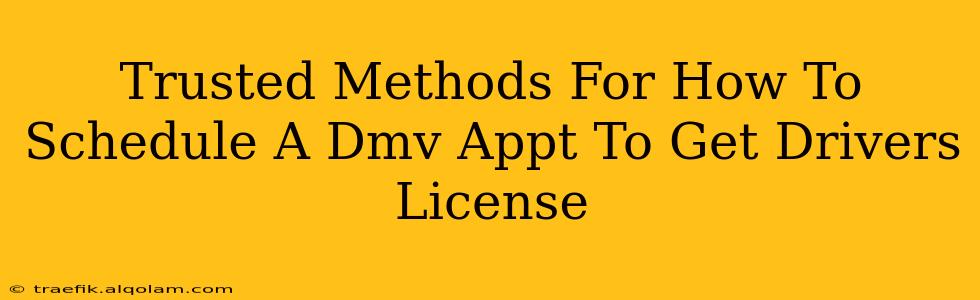 Trusted Methods For How To Schedule A Dmv Appt To Get Drivers License