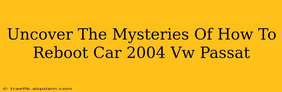 Uncover The Mysteries Of How To Reboot Car 2004 Vw Passat