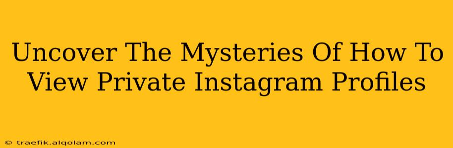 Uncover The Mysteries Of How To View Private Instagram Profiles