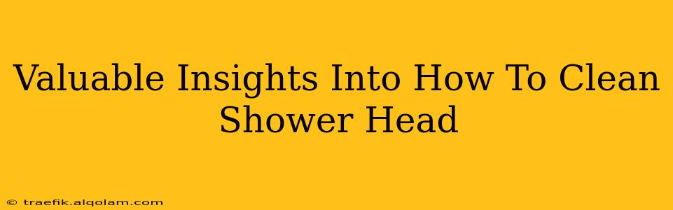 Valuable Insights Into How To Clean Shower Head