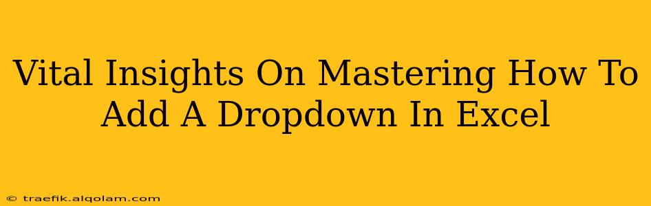 Vital Insights On Mastering How To Add A Dropdown In Excel