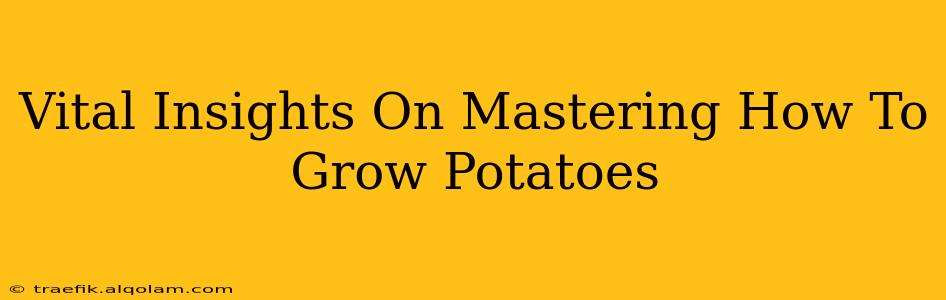 Vital Insights On Mastering How To Grow Potatoes