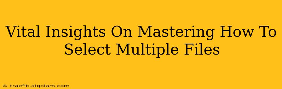 Vital Insights On Mastering How To Select Multiple Files