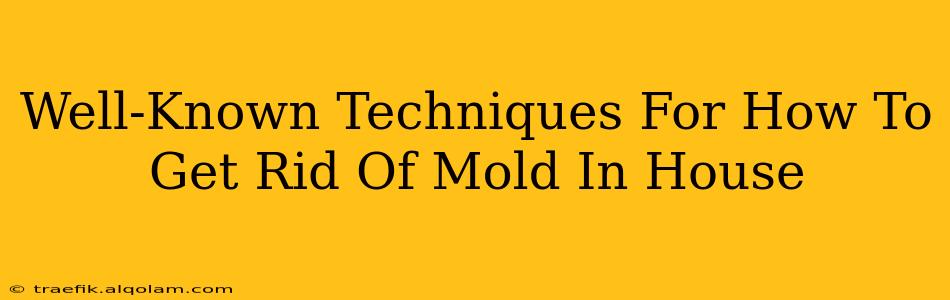 Well-Known Techniques For How To Get Rid Of Mold In House